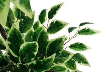 ДЕРЕВО ИСКУССТВЕННОЕ РАСТЕНИЕ КОМПОЗИЦИЯ УКРАШЕНИЕ ОФИС ДОМА ЛИСТЬЯ ЦВЕТОК