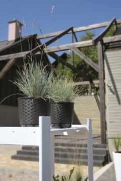 Ратолла Круглый цветочный горшок DRLO165 антрацит Prosperpla