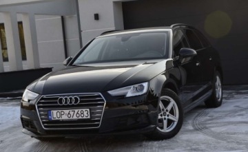 Audi A4 B9 2019 Audi A4 Avant 8W 2.0 TDI S-Tronic Kamera ACC Navi Radar Presense El.Klapa