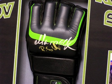 Мамед Халидов - Роберто Солдич Перчатка с автографом Хит коллекционера