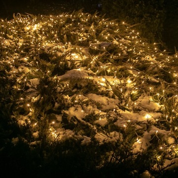 РОЖДЕСТВЕНСКИЕ ОГНИ 100 СВЕТОДИОДОВ НА БАТАРЕЯХ + ПУЛЬТ ДИСТАНЦИОННОГО УПРАВЛЕНИЯ