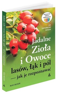 JADALNE ZIOŁA I OWOCE LASÓW ŁĄK PÓL jak rozpoznać