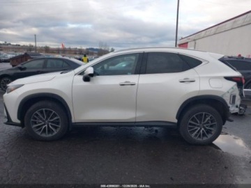 Lexus NX II 2024 Lexus NX 350h Premium 2024 2.5 Hybryda 189KM, zdjęcie 2