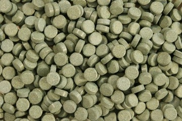 Glopex Algen Tablet 1kg tabletki przylepne Spirulina 40% karma dla ryb