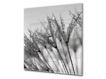 panel szklany dekor 50x55 D dmuchawiec kwiat
