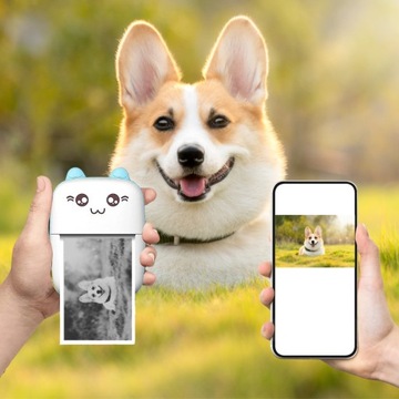 ПОРТАТИВНЫЙ ТЕРМОПРИНТЕР DRUKUŚ MINI CAT ДЛЯ ФОТОГРАФИЙ + 16 БУМАЖНЫХ РОЛИКОВ