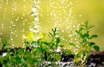 НИППЕЛЬ БЫСТРОСОЕДИНИТЕЛЬ СОЕДИНИТЕЛЬ САДОВОГО ШЛАНГА Соединитель садового шланга