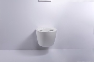 Geberit AquaClean set, Miska wisząca WC + Deska