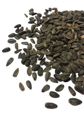 КОРМ ПОДСОЛНЕЧНИК 25КГ СЕМЕНА ДЛЯ ПТИЦ И ГРЫЗУНОВ