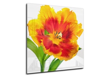 lacobel hartowany grafika panel 50x55 rysunek