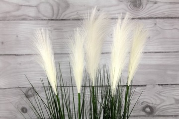 ПАМПАСНАЯ ТРАВА, БОЛЬШОЙ ИСКУССТВЕННЫЙ СОСТАВ