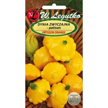 DYNIA ZWYCZAJNA-PATISON PATISSON ORANGE 1G LEGUTKO