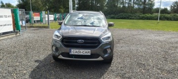 Ford Kuga III 2019 Ford Kuga Książka serwisowa, super stan., zdjęcie 1
