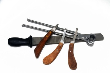 ПРОФЕССИОНАЛЬНЫЙ НАБОР ДЛЯ КОРРЕКЦИИ КОПЫТ С 3 НОЖАМИ