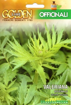 Kozłek lekarski Valeriana nasiona 0,75 g