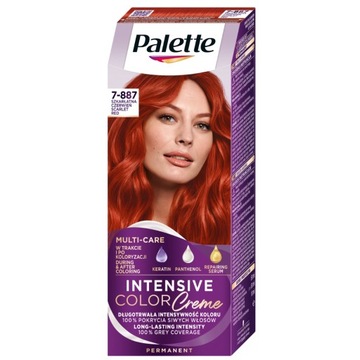 Palette farba do włosów RV6 Szkarłatna Czerwień