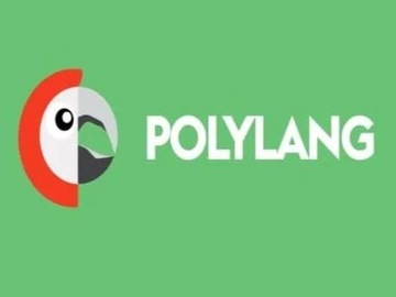 Плагин Polylang Pro
