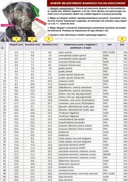 Чопо Физиологический Намордник, Средний Шнауцер, сука