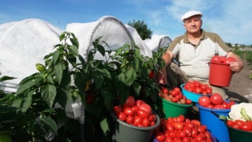 2 х Морозостойкая теплица Mega Garden 3м