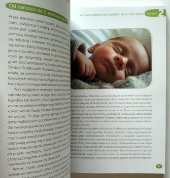 МЕТОДИКА МОНТЕССОРИ ДЛЯ ТРЕТЬЕГО ГОДА, ПУССЕН