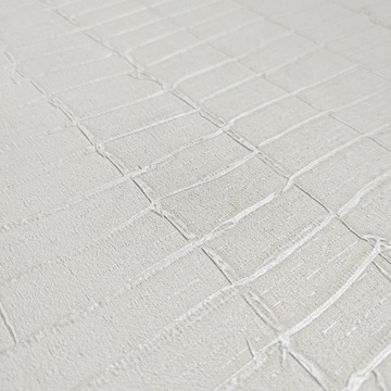 ВИНИЛОВЫЕ ОБОИ THICK OBJECTIVE ТЕКСТУРА 40314