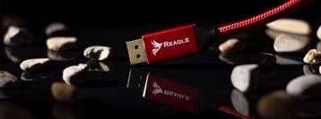 Кабель REAGLE DisplayPort 1.4 DP 4K 165 Гц 2k 240 Гц 3M Display Port