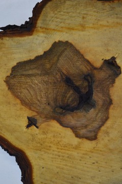 Большой выбор ломтиков каштана 41x38Gr4cm Доска для подноса