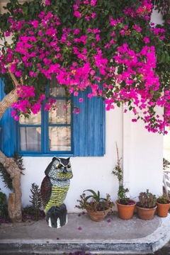 ОТПУСКАТЕЛЬ ПТИЦ МЫШЬ СОВА СО ЗВУКОМ с датчиком движения ДВИЖУЩАЯСЯ ГОЛОВКА