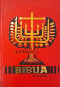 ILUSTROWANA BIBLIA MŁODYCH