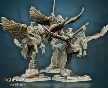 Pegasus Knights - Полный отряд