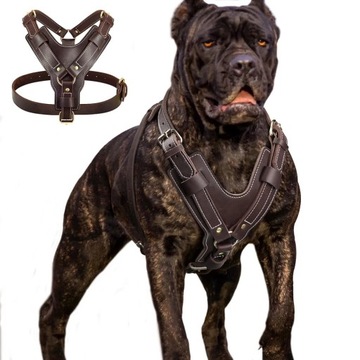 Uprząż Dla Psa Skóra Dla Dużych Psów Szelki Doberman Cane Corso Pitbull
