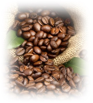 Kawa ziarnista LAVAZZA Gusto Forte Expert 1 kg