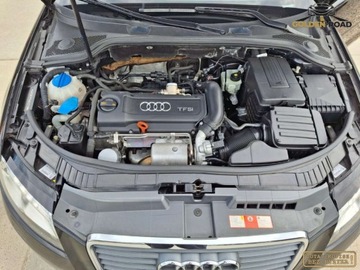 Audi A3 8P Hatchback 3d 1.4 TFSI 125KM 2010 Audi a3 1,4 tfsi 125KM klima elektryka alu xenon grz. fotele oplacony 1.4, zdjęcie 17