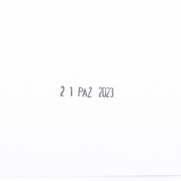 Datownik d.rect pl100 polskie daty