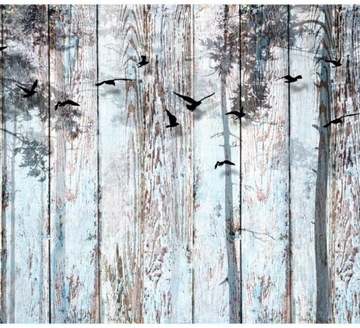 FOTOTAPETA 3D NA ŚCIANĘ DO SYPIALNI 300x210 +KLEJ, Natura, Drewno, Deski