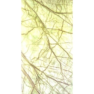 Rain forest Green tapeta 2MM 244x122x0,2 cm transparentny