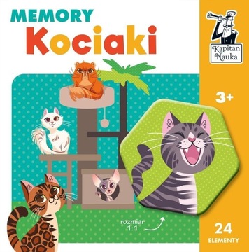 Kociaki Memory Kapitan Nauka -tk