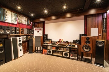 Davis Acoustics Ariane C светлый дуб — центральный динамик — сделано во Франции
