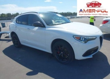 Alfa Romeo Stelvio SUV Facelifting 2.0 Turbo 280KM 2021 Alfa Romeo Stelvio Ti Sport 2021 2.0l 2.0 Benzyna 280KM