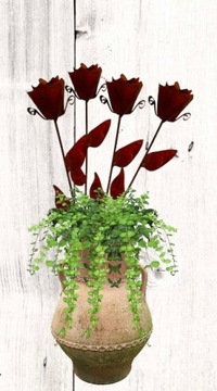 Стильная роза x2 Вечный день женской бабушки у нас есть лак для Дня святого Валентина