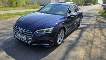 Audi A5 F5 S5 Sportback 3.0 TDI 347KM 2019 Audi S5 Sportback S5 3.0Tdi 347KM Panorama PL Sal, zdjęcie 3