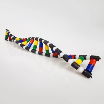 Подходит для детской модели ДНК с двойной спиралью