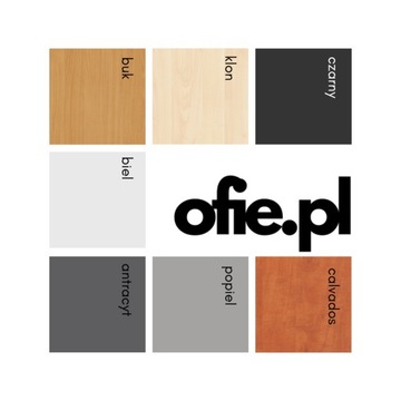 Стойка приема составляет 200 см - для офиса, для косметолога, Доктор Биала