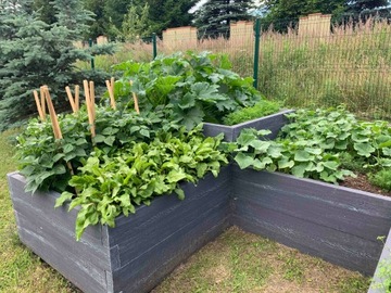 Бетонный огород, ящики для осмотра огорода