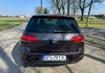 Volkswagen Golf VII Hatchback 3d 1.6 TDI BlueMotion 110KM 2015 Volkswagen Golf Bezwypadkowy, nowe sprzeglo, LOUNGE 1.6 Diesel 110KM, zdjęcie 7