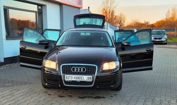 Audi A3 8P Hatchback 3d 1.6 102KM 2008 Audi a3 1,6 MPI 102 km 1.6 Benzyna 102KM, zdjęcie 23