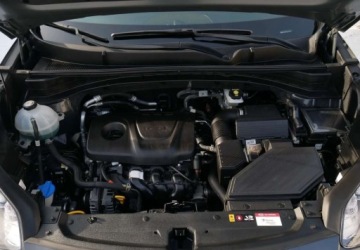 Kia Sportage IV SUV Facelifting 1.6 GDI 132KM 2018 Kia Sportage Kia Sportage 1.6 GDI Business Line 2WD 1.6 Benzyna 132KM, zdjęcie 37