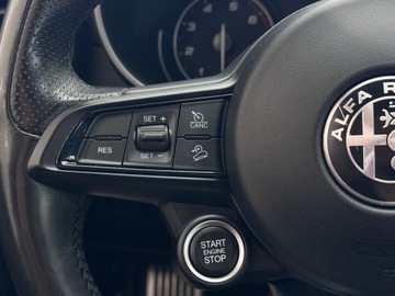 Alfa Romeo Stelvio SUV Facelifting 2.0 Turbo 280KM 2020 Alfa Romeo Stelvio Veloce Q4 / 1 właściciel / Salo, zdjęcie 20