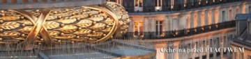 Шипы для птиц на солнечные батареи модуль 50см - SP24