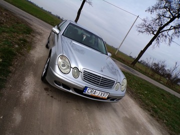 Mercedes Klasa E W211 2004 MERCEDES E-211 2.2 CDI ZAREJESTROWANY, zdjęcie 11